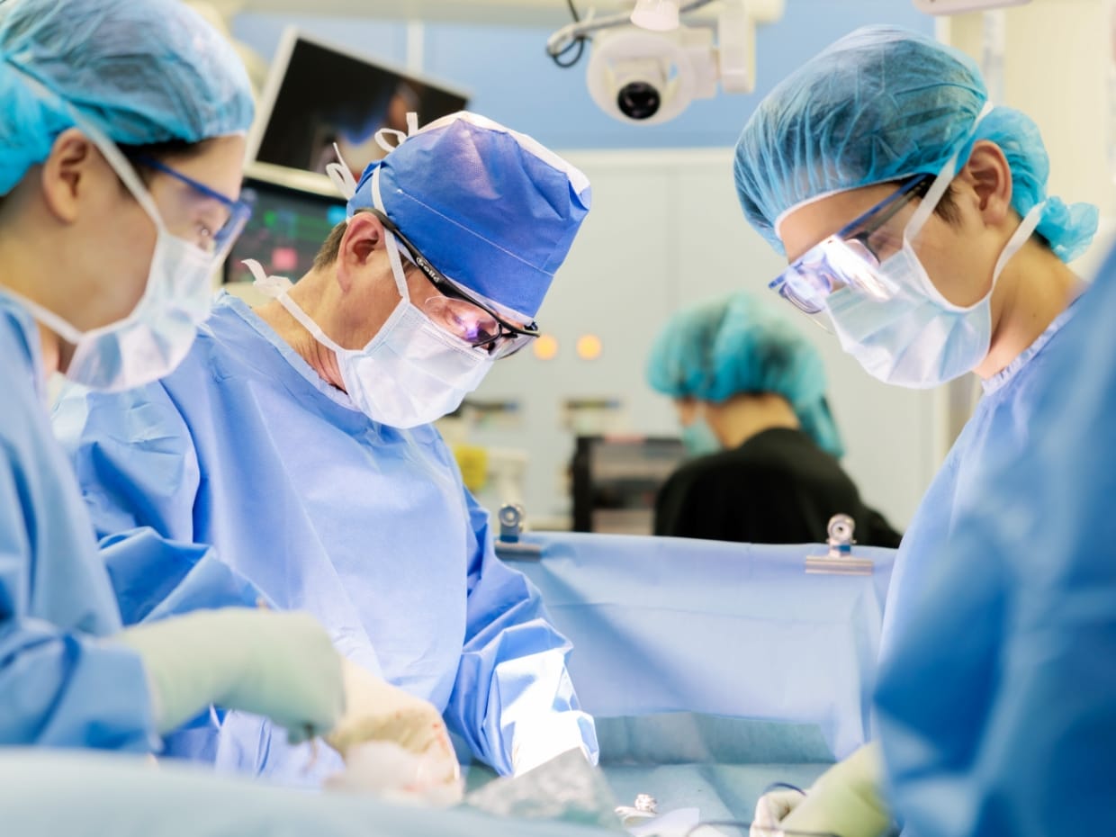 手術の様子
